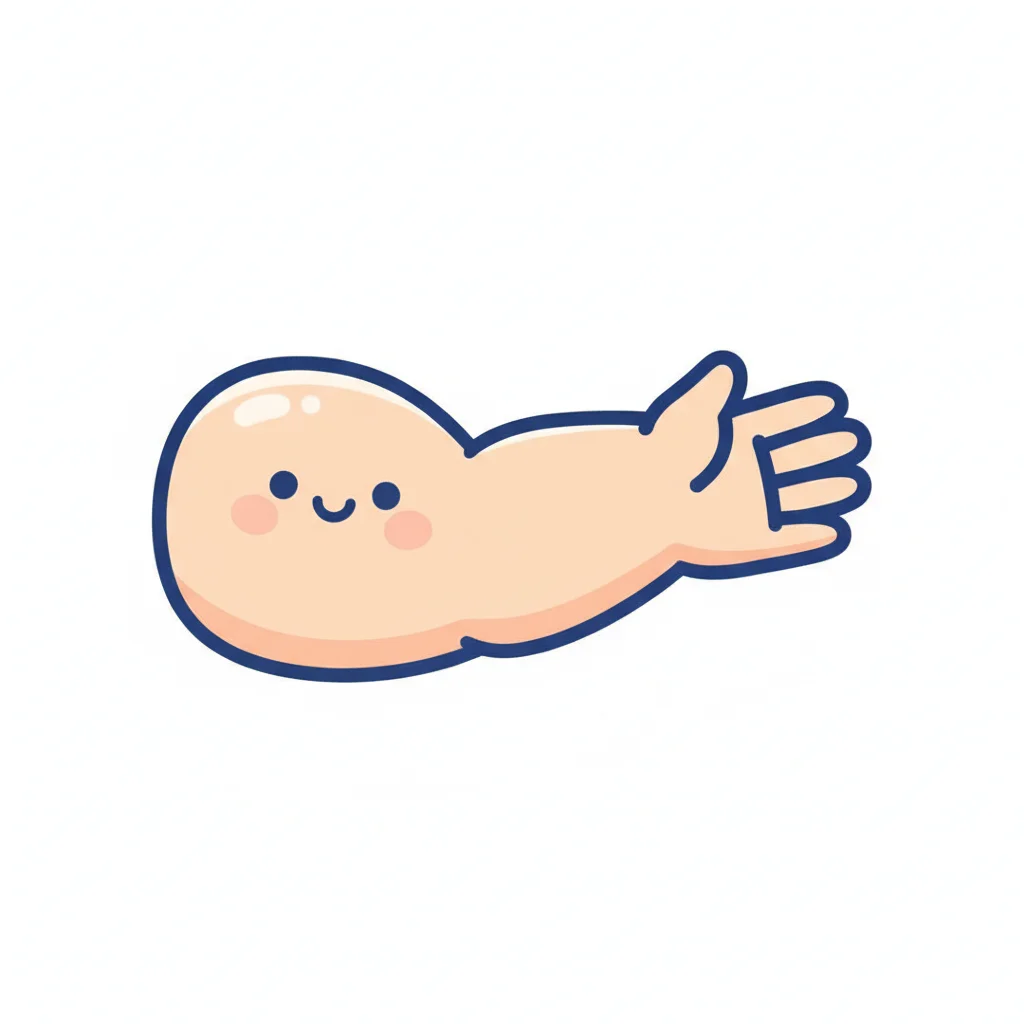 arms